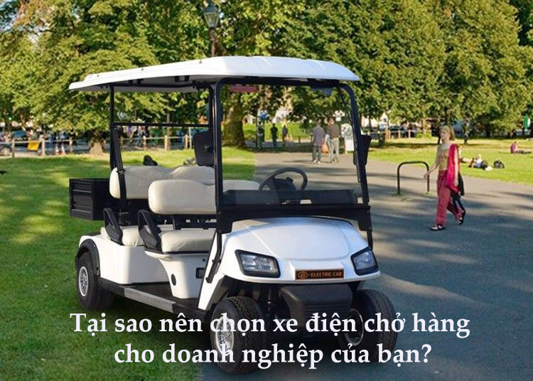 /uploads/images/bai-viet/xe-dien-san-golf-co-thung(1).jpg