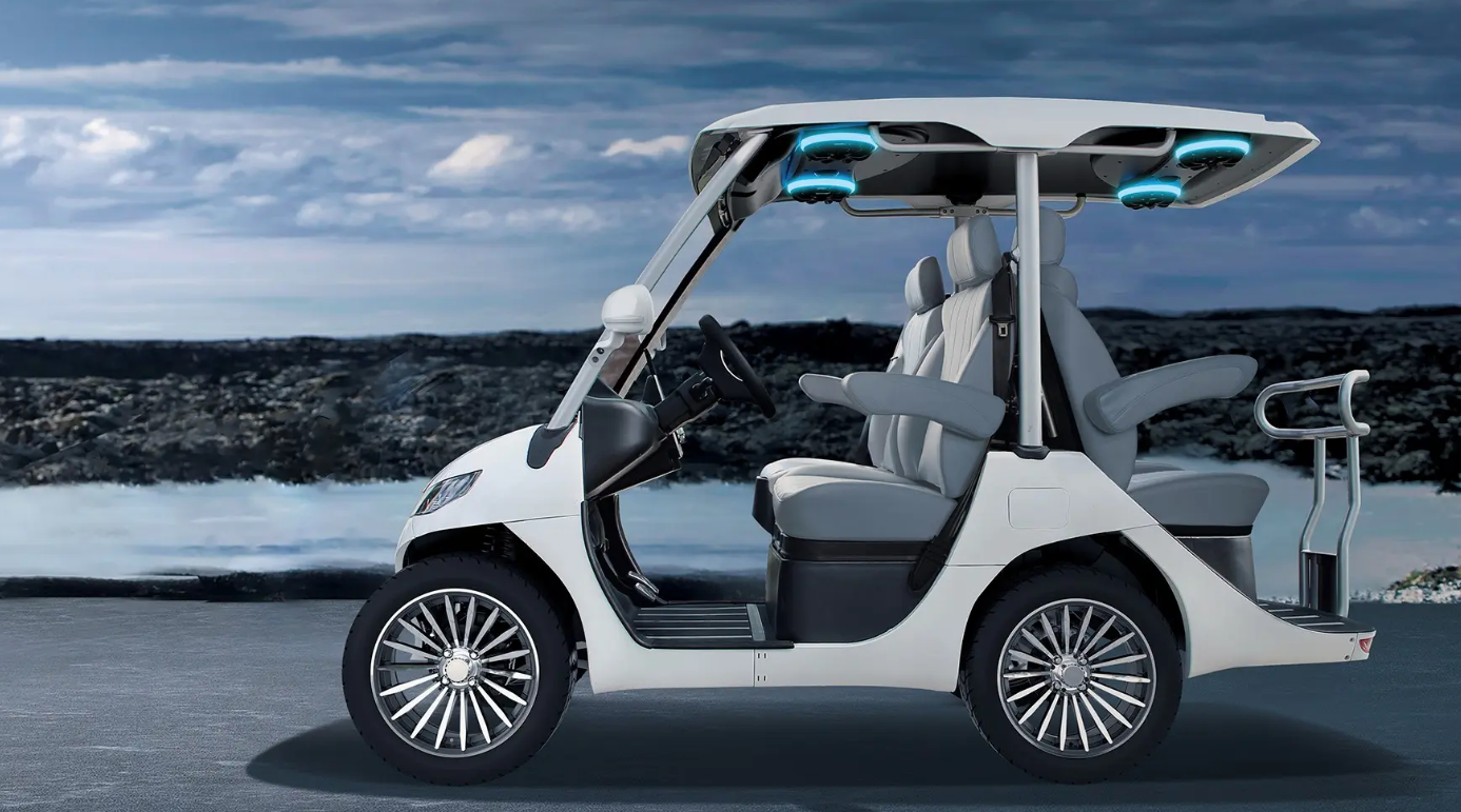 Xe Golf cá nhân cao cấp D3