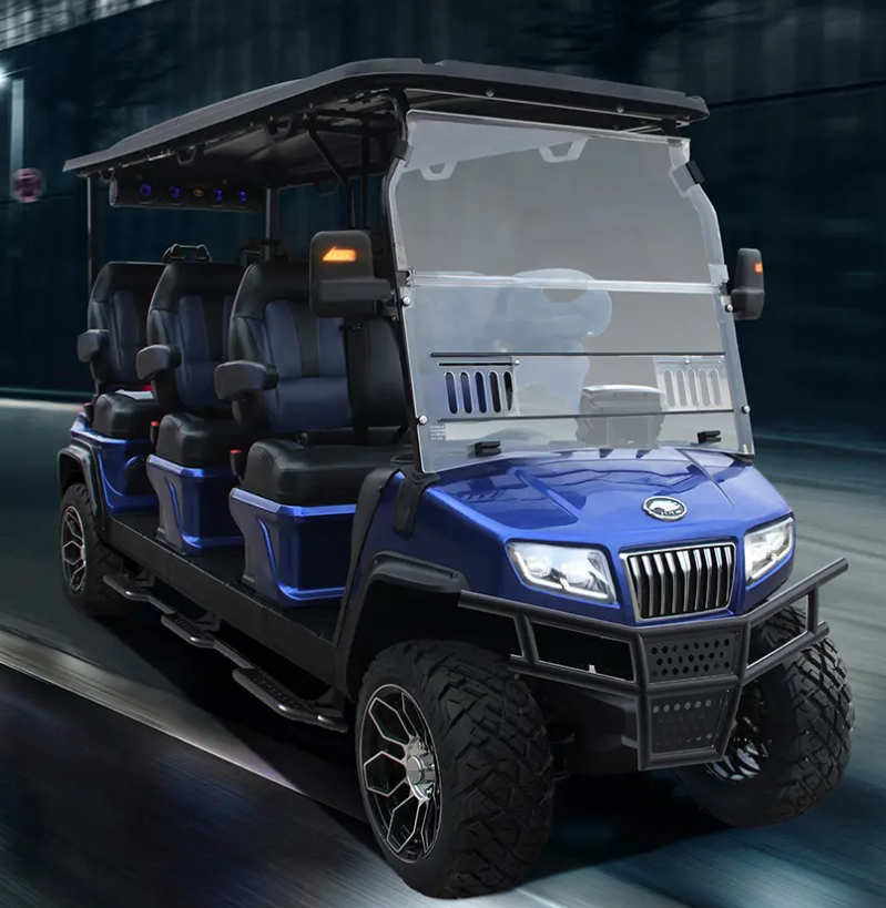 Xe điện du lịch D5-MAVERICK 6