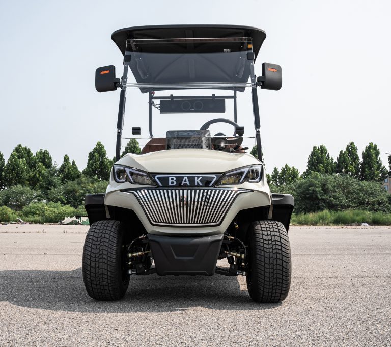 Xe điện chở khách 2 chỗ Magway K-C2