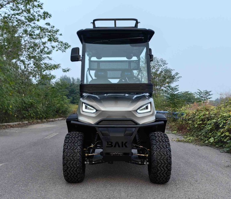 Xe điện sân golf 2 chỗ Magway R-H2P