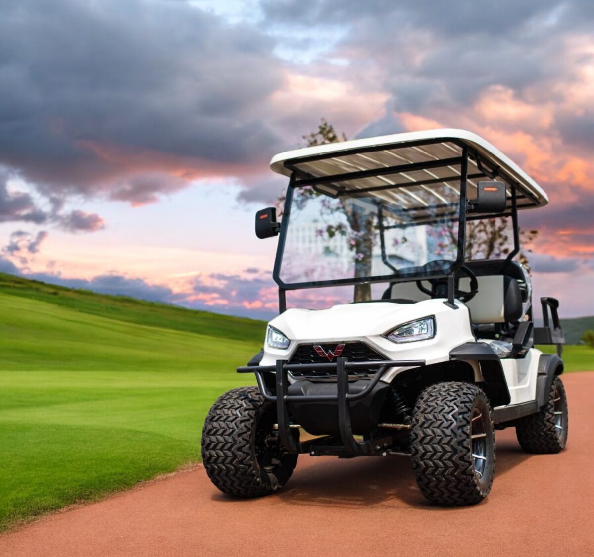 Xe điện sân Golf WLDT322-(2+2) chỗ