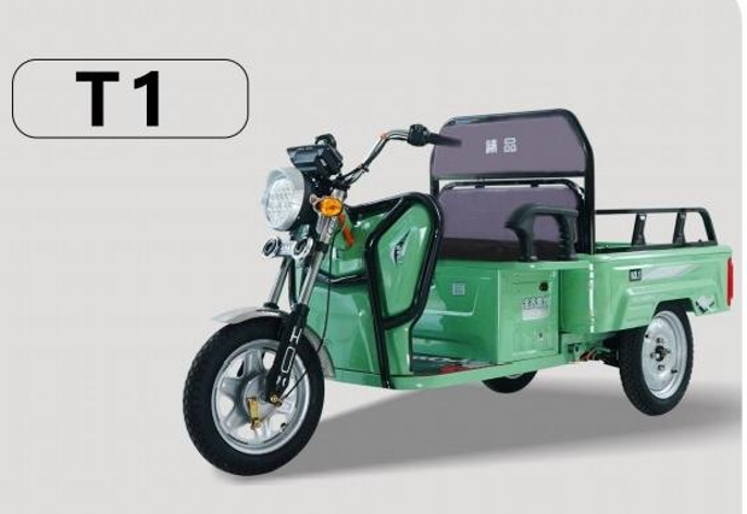 Xe điện chở hàng T1