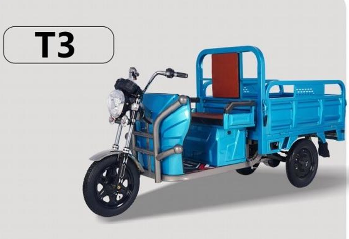 Xe điện chở hàng T3