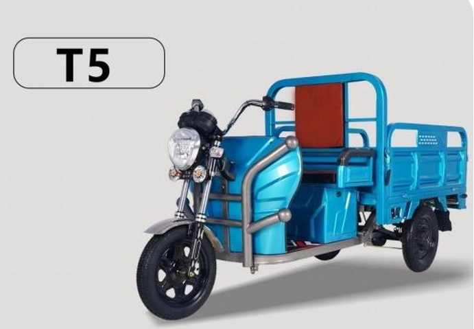 Xe điện chở hàng T5