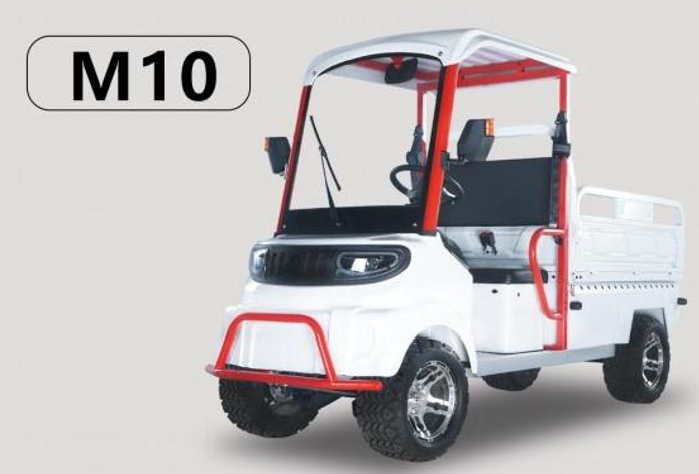 Xe điện Minibus M10