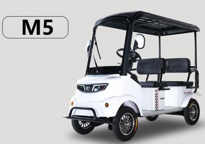 Xe điện Minibus M5