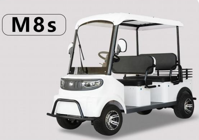 Xe điện Minibus M8S