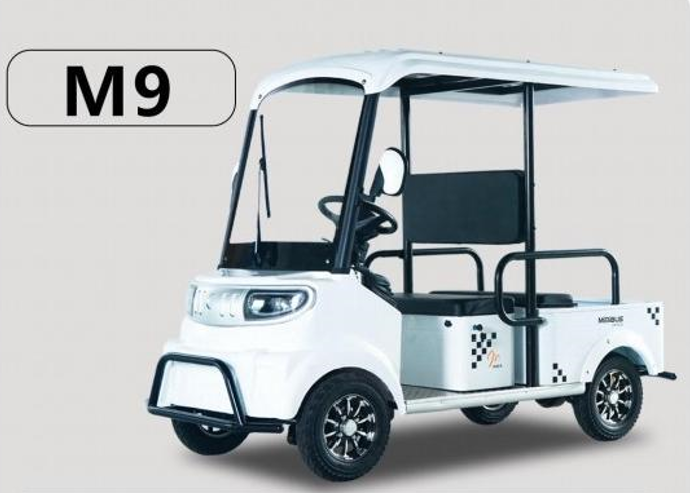 Xe điện Minibus M9
