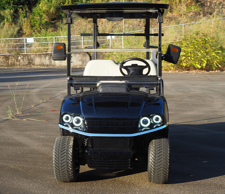 Xe điện sân golf 2 chỗ Magway A-C2