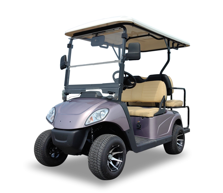 Xe điện sân golf 4 chỗ Magway A-C2+2